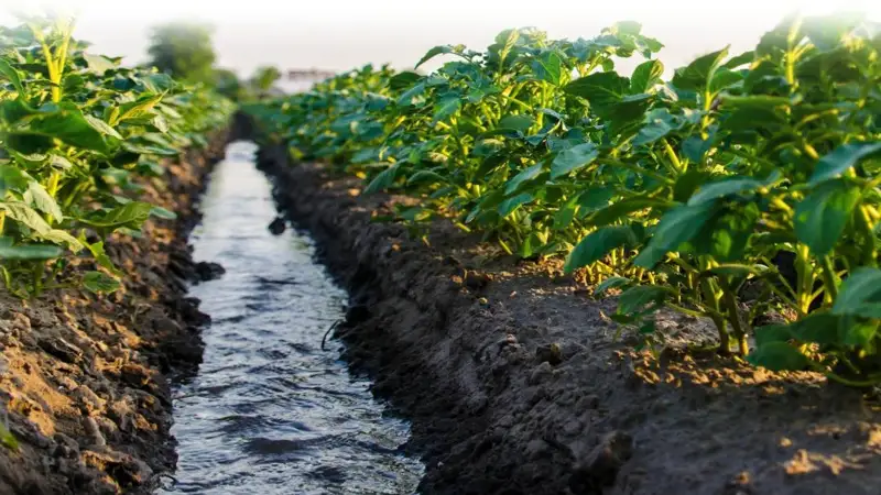 вода для аграриев