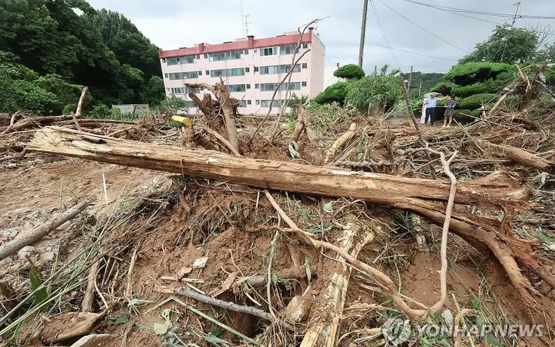 韩国暴雨