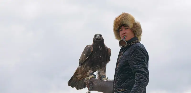 беркутчи бүркітші