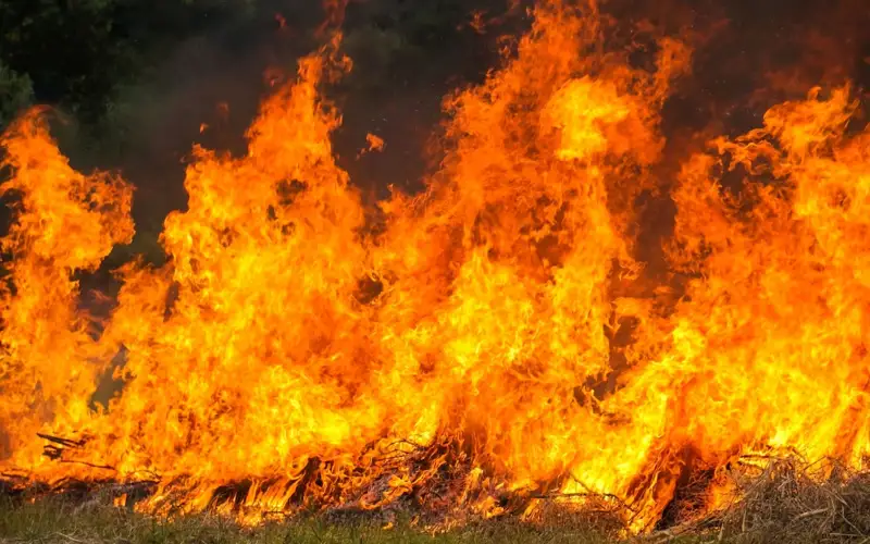 пожар, природный пожар