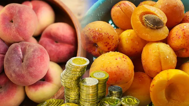 Персики и абрикосы