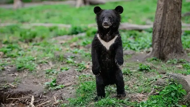 Фото: primamedia.ru