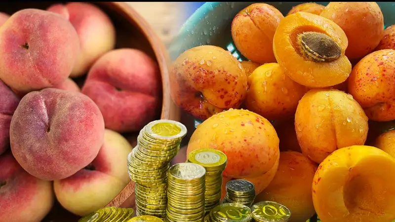 Персики и абрикосы