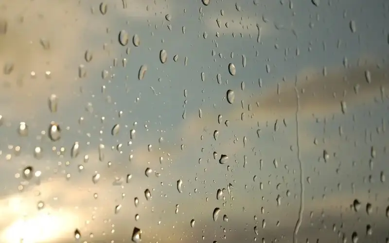 weather