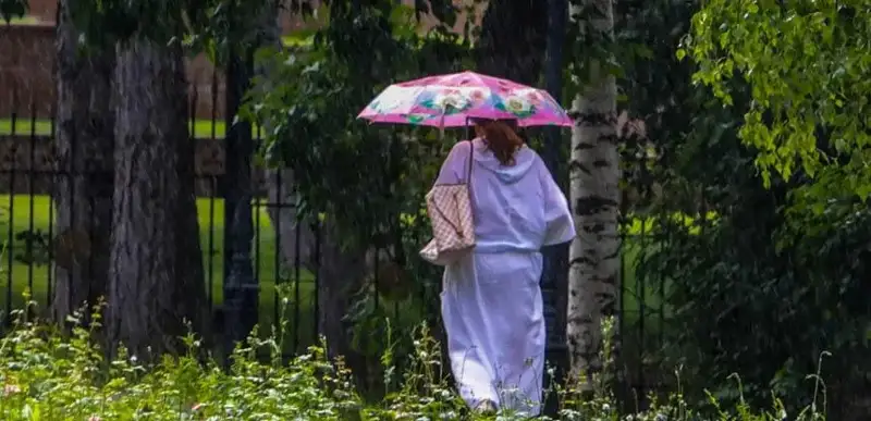 лето, жара, дождь