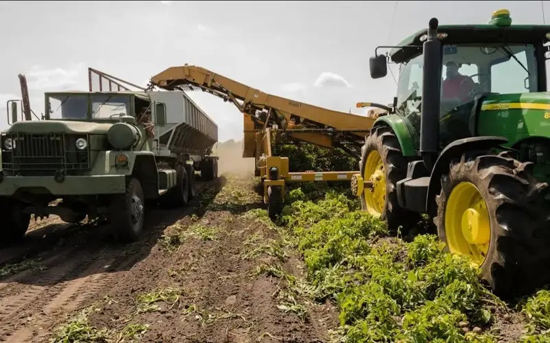 Қишлоқ хўжалиги