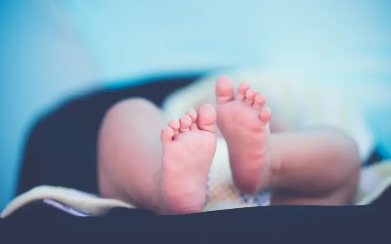 Baby, child, demography, birthrate