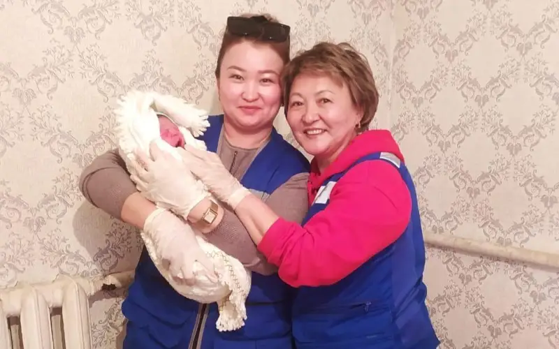 Almaty oblysy ákimdigi