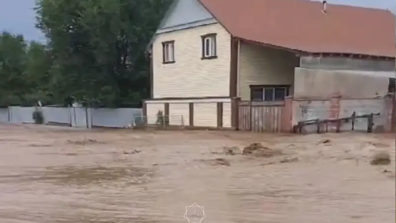 sý tasqyny