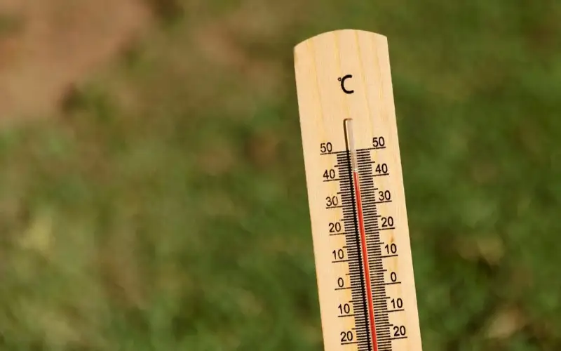 Погода, жара, термометр