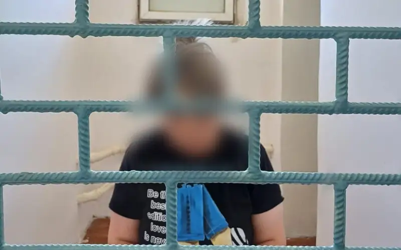 Орудовавшую в четырех странах преступницу задержали в Жамбылской области 