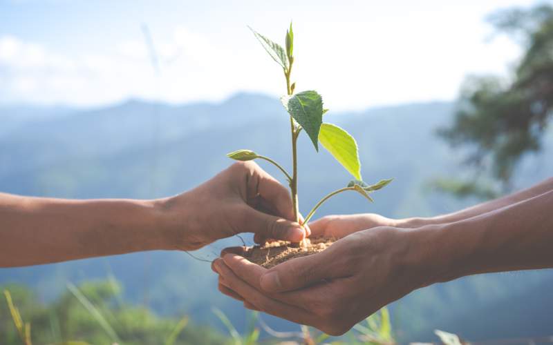 Nature, ecology