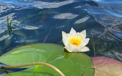 "Бурабай" МҰТП