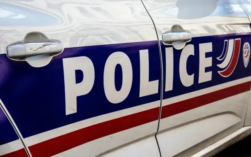 полиция, Франция