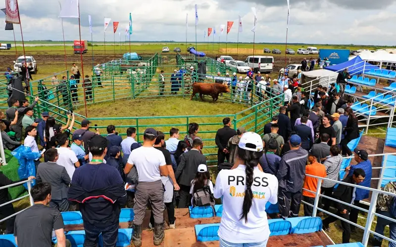 «JańaDala/GreenDay 2024» kórmesi