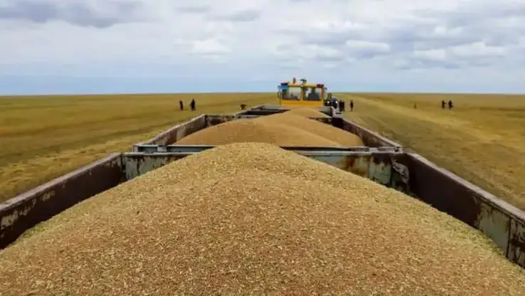 Ресей бидайын жалған құжаттармен экспорттап келгендер ұсталды