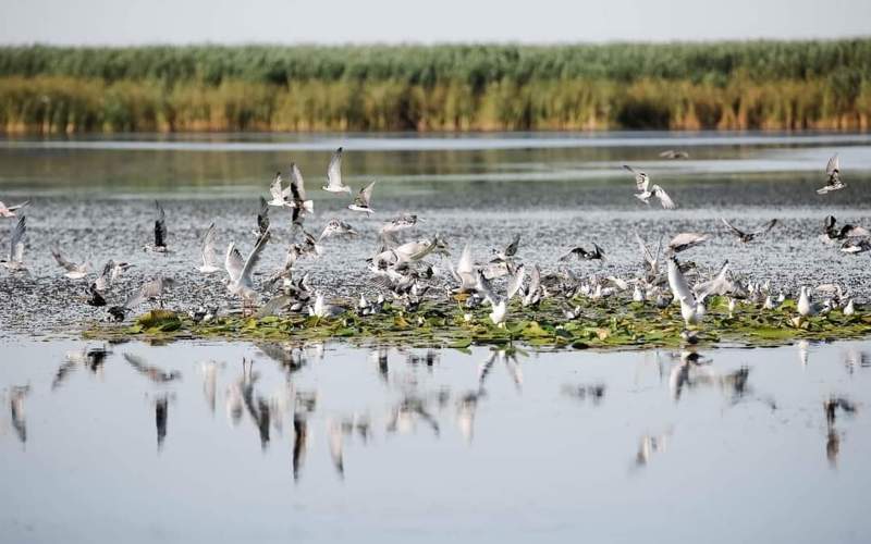 Atyraý oblysyna úsh aıda 32 myńnan astam týrıst kelgen