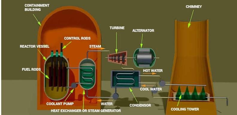 Structure of a Nuclear Power Plant, NPP