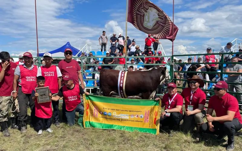 Лучшего быка выбрали на национальном конкурсе среди мясных пород КРС
