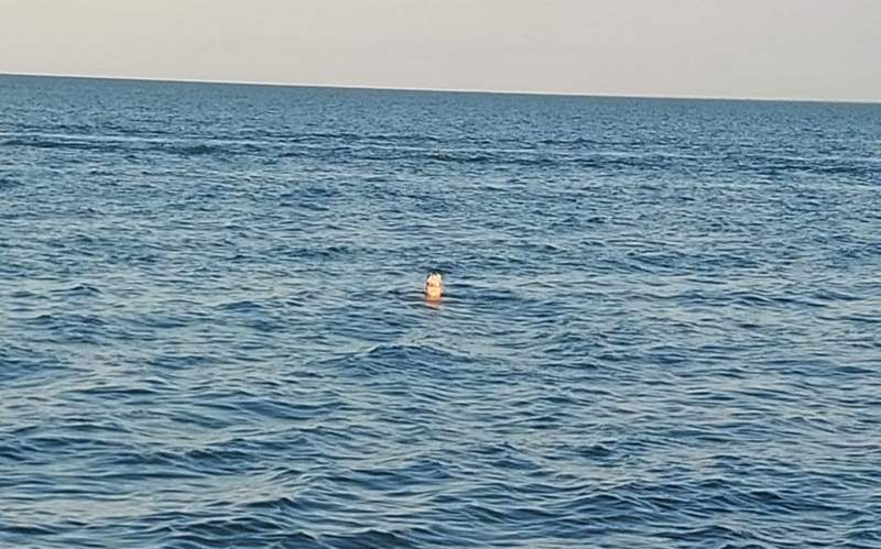 Страх должен быть даже у опытных пловцов — специалисты о безопасности на водоемах безопасность на водоемах