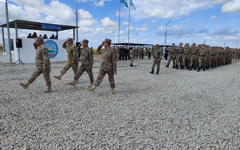 военные, солдаты