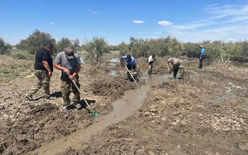 Over 100,000 fish juveniles rescued on drying Saryozek canal in Atyrau region