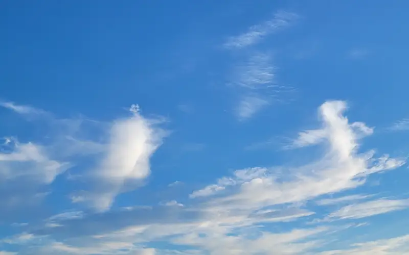 метеоусловия