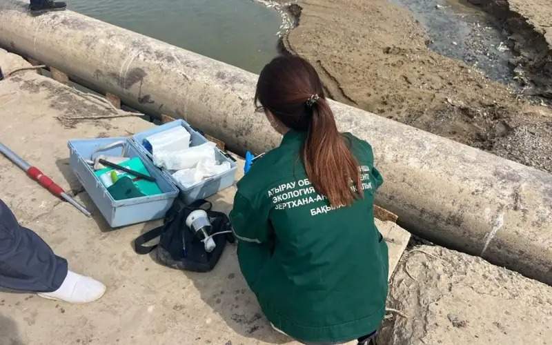 Over 100,000 fish juveniles rescued on drying Saryozek canal in Atyrau region