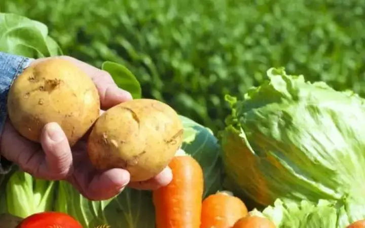 Turkish company to build vegetable storage facility in Kazakhstan