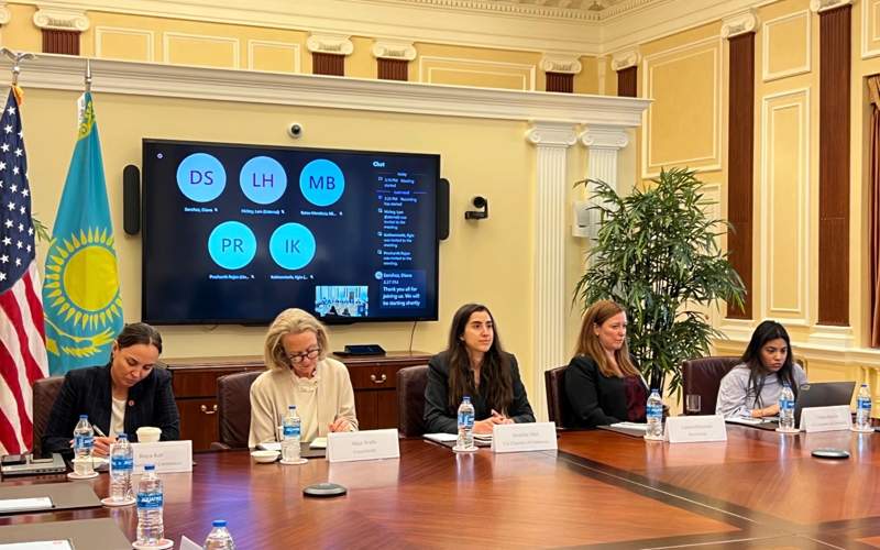 Samruk-Kazyna, U.S. Chamber of Commerce discuss bilateral interaction issues 