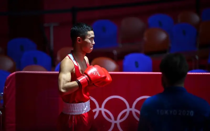 бокс, боксеры