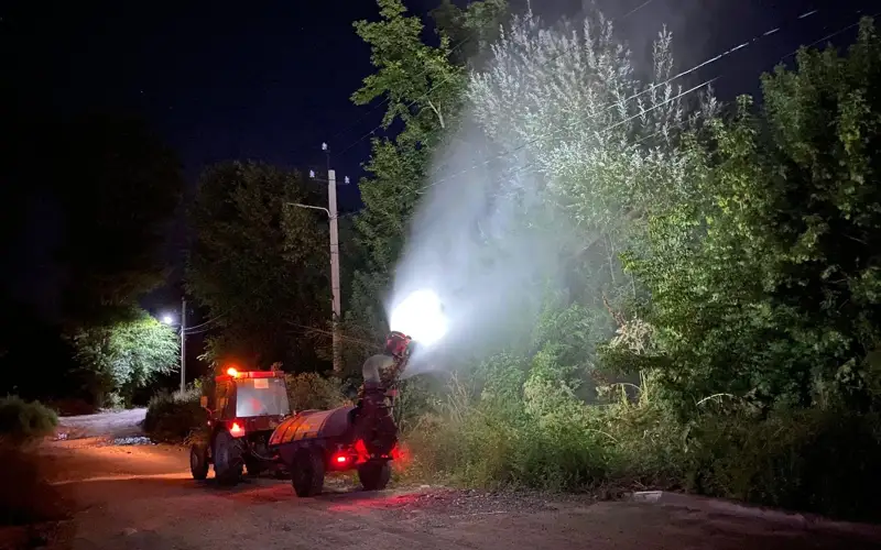 обработка деревьев