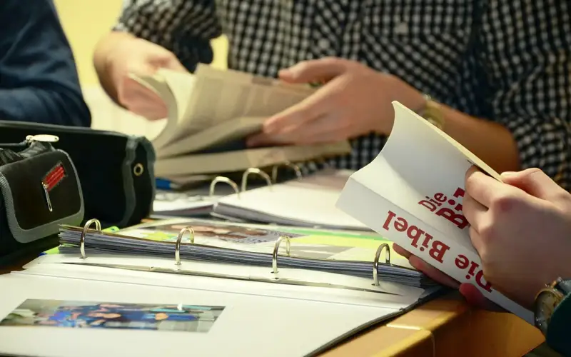 образование