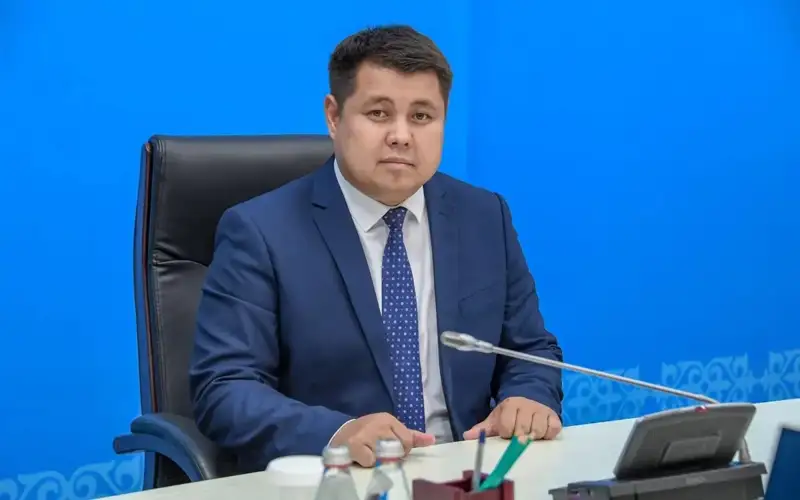 New deputy akim of Konayev named