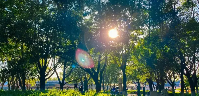Fervent heat, strong wind forecast in Kazakhstan Jul 27