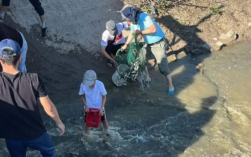 спасение мальков спасение мальков