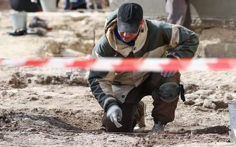 Новый вид динозавров нашли в Монголии