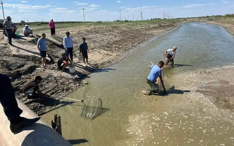 спасение мальков