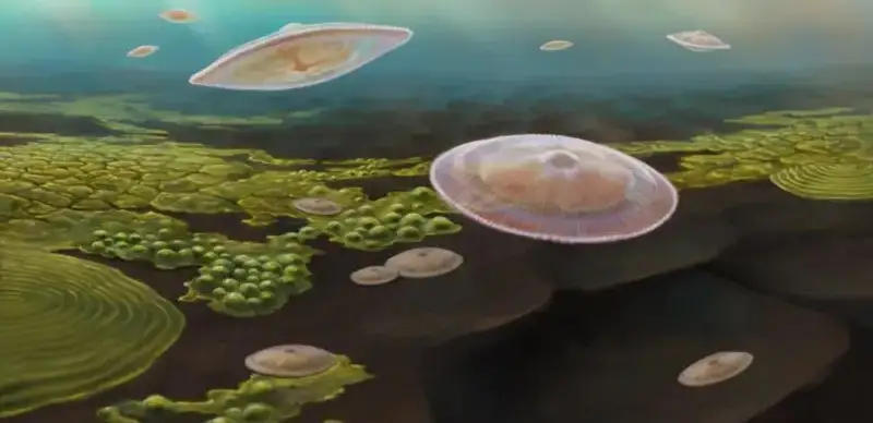 Жизнь на Земле могла зародиться намного раньше - ученыеЖизнь на Земле могла зародиться намного раньше - ученые