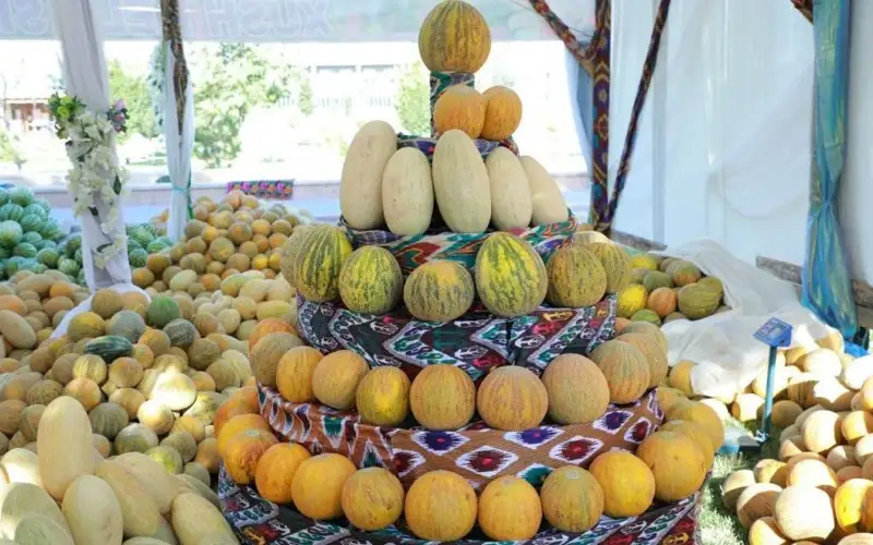 Uzbekistan’s Khiva to host Melon Festival