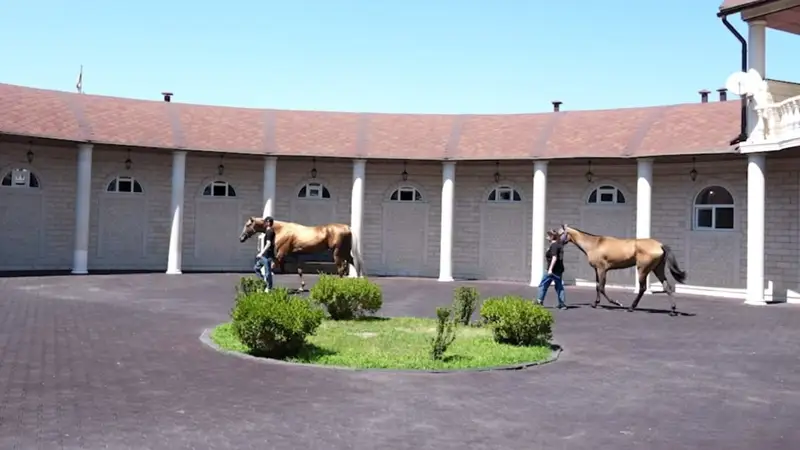 Қадыров - Мирзиёев