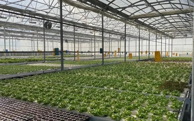 Қишлоқ хўжалиги