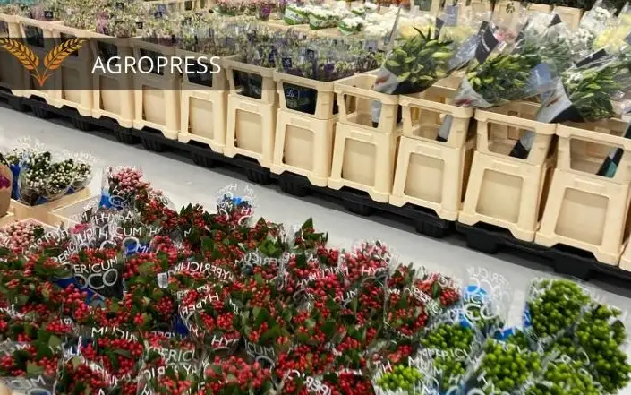 Ввоз зараженной партии цветов из Турции пресекли в аэропорту Астаны