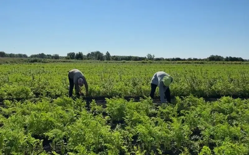 акимат Актюбинской области