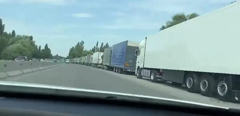 скопление фур