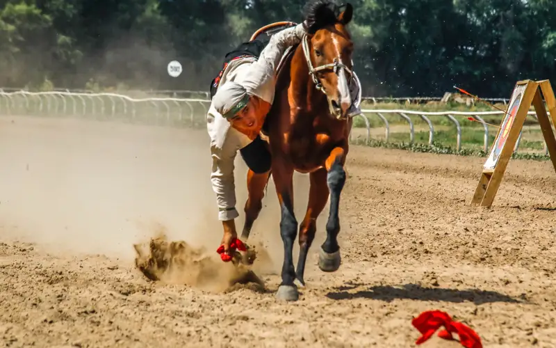 «Ұлы дала ойындары»: Алматыда ұлттық спорт ұлықталды