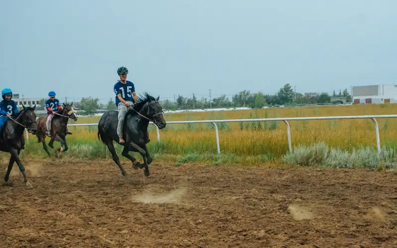 павлодарский ипподром, наездники, скачки