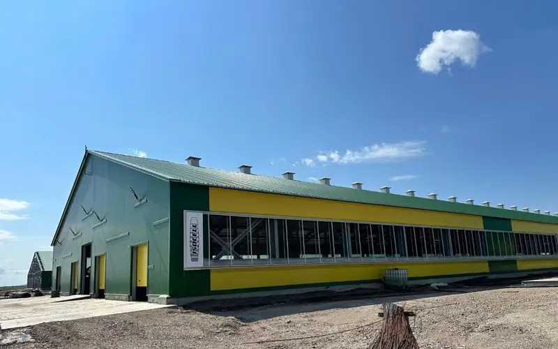 строительство