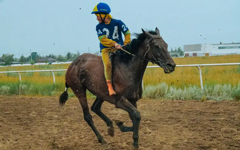 Лучшие наездники со всего Казахстана собрались на павлодарском ипподроме