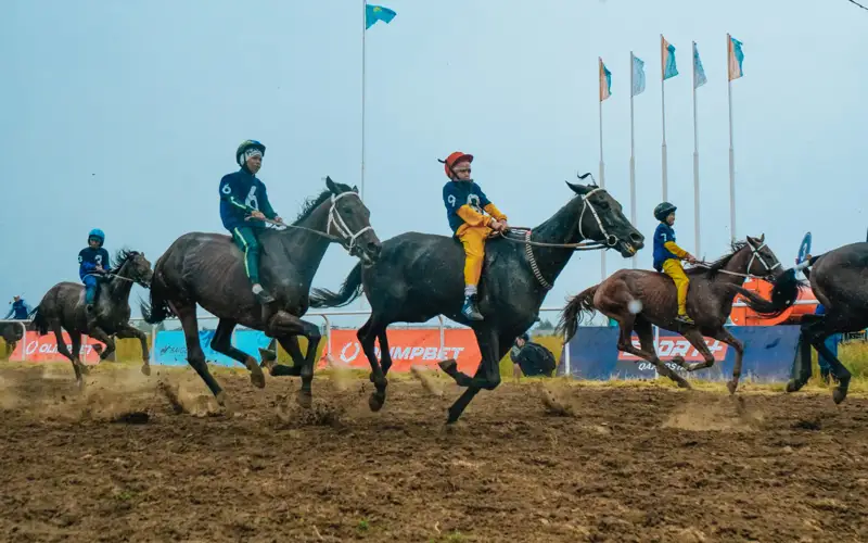 Лучшие наездники со всего Казахстана собрались на павлодарском ипподроме